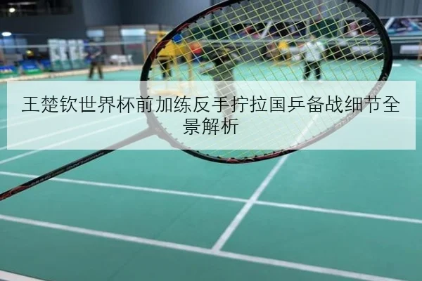 王楚钦世界杯前加练反手拧拉国乒备战细节全景解析